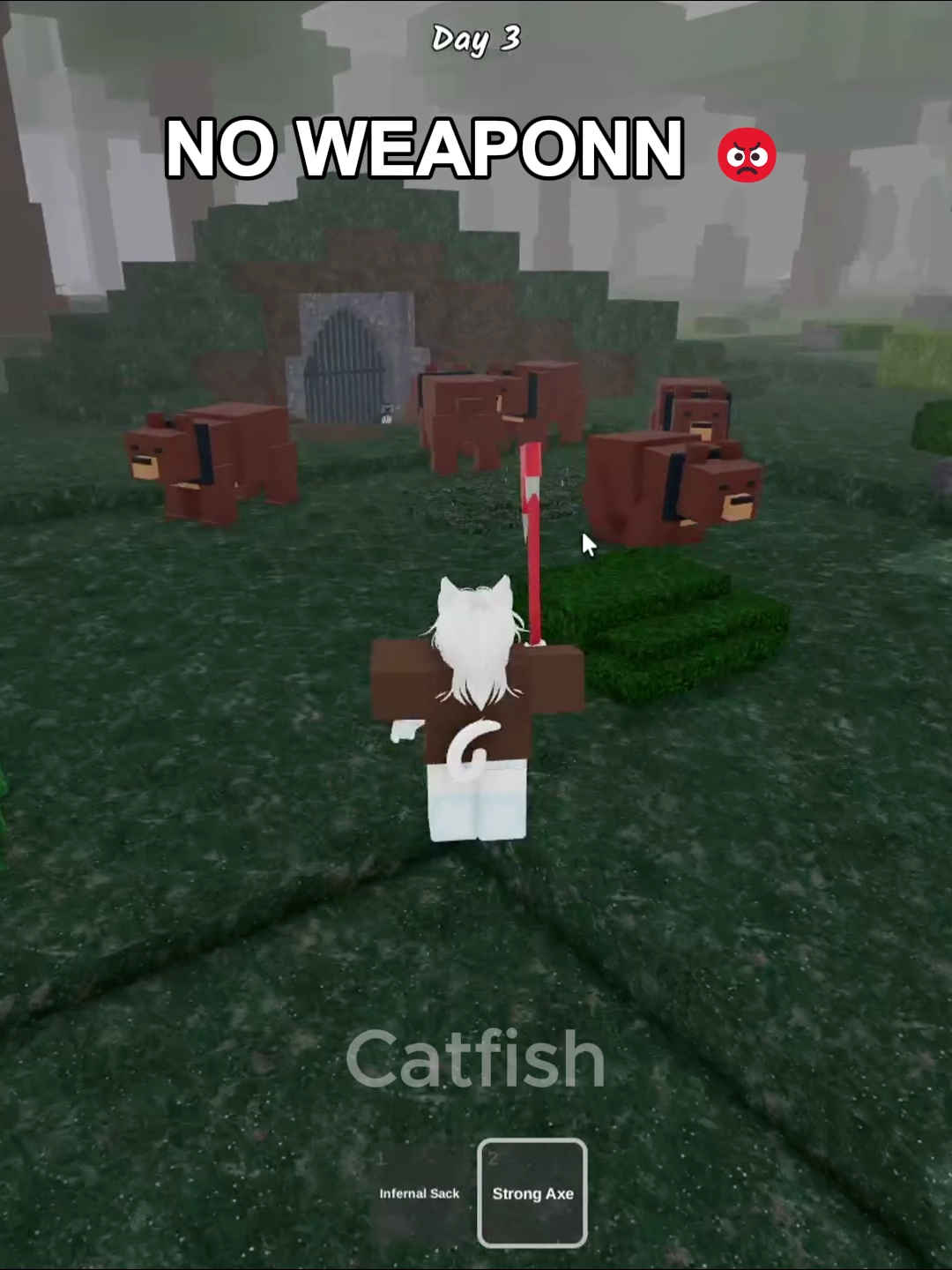 OMG new chili save koala 😂 #99nightintheforest #roblox #usa