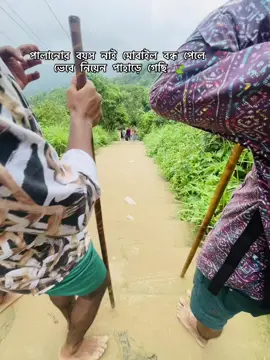 আমার কোনো নেশা নাই শুধু গুরা ফেরা নেশা 🍃✨#foyyyyyyyyyyyyyyy #capcut #trendingsong #viraltiktok #foryouシ゚viral 
