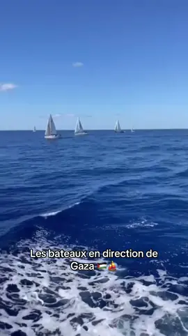 Les bateaux en direction de gaza ⛵️🇵🇸 #adelehaenel #freepalestine #palestine #globalsumudflotilla 