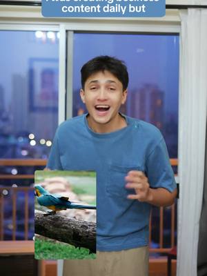 Promote your TikTok today!
