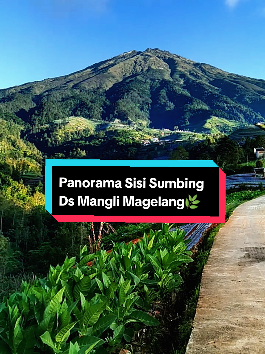 Panorama Sisi Sumbing Magelang Jateng 🌿❤😍#sisisumbing #gunungsumbing #magelangexplore #lagujawa #padahariini 