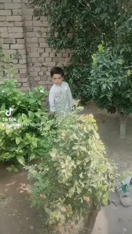 #foryoupagefypfyp #repostplese_tiktok_for_you🥺🤗💗 #foryoupageviralvideotiktok❤️❤️ #سنگت_ویڈیو_وائرل_کریسو_آپ_ہیں🥀🌼🙈✨🎇 #fypvideoviral 