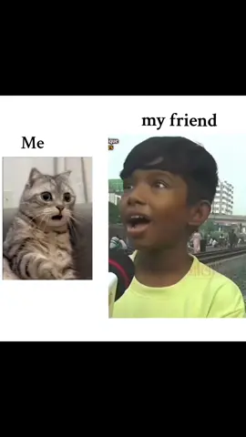 আমার friend যখন প্রেম Eh. ব্যর্থ হয় 😓💔 #trend #vairal_video #foryoupage #vairal_video_tiktok_trending #fyp 