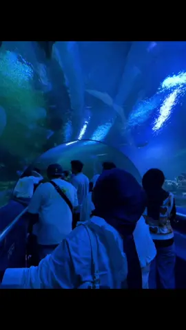 Did you guys claim your Birthday free admission at @Aquaria KLCC ? I did! #aquaria #ocean #nature #sea  #birthday 
