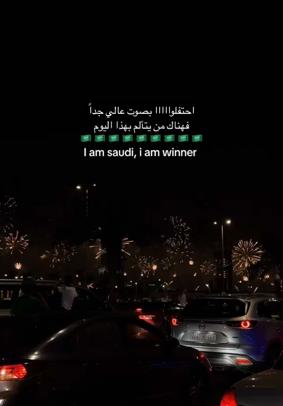 🇸🇦 🇸🇦🤍🤍 #اليوم_الوطني_السعودي_95 #93saudinationalday #saudinationalday #explore #اكسبلورررررررررر 