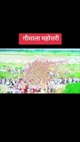 #गौसला महोत्तरी कलश यात्रा  #जय माता दी #arbind_shah #gaushalamahottari🇳🇵🇳🇵🇳🇵 #kalwar_family😎 