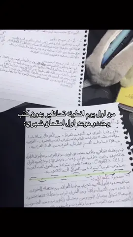 #اكسبلور #foryou #fyp #الشعب_الصيني_ماله_حل😂😂 #ثالثيون 
