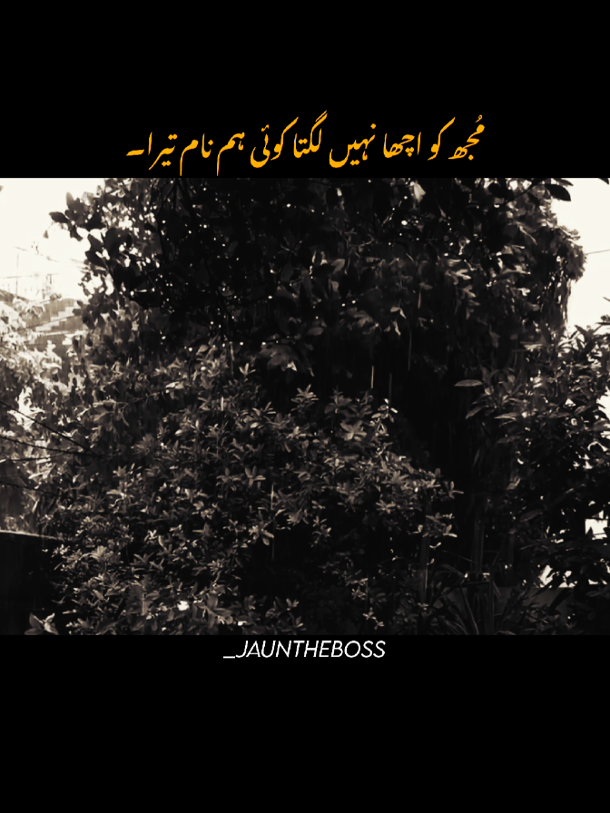 Koi Humnaam Tera #foryou #foryoupagе #fyp #aesthetic #poetry 
