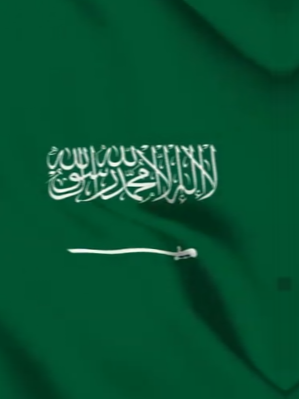 اليوم الوطني#الشعب_الصيني_ماله_حل😂😂 #اليوم_الوطني_السعودي_95 #fypシ゚viral #السعودية #saudiarabia 