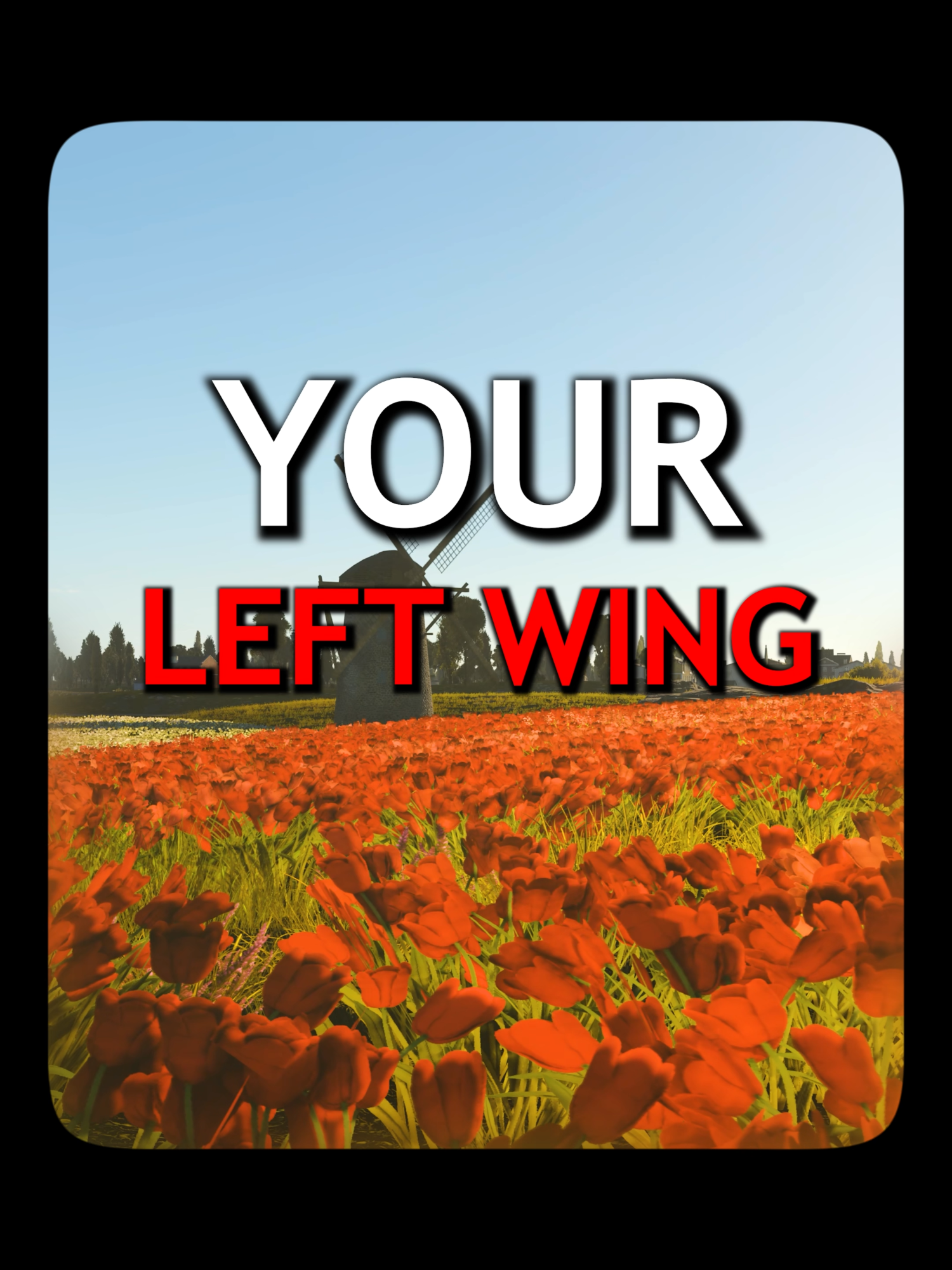 Your Left Wing 🗣️🔥 #WarThunder #War #Thunder #funny #meme