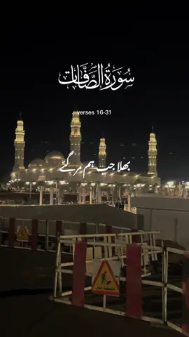#تلاوة_خاشعة #quran #foryou #tilawat 