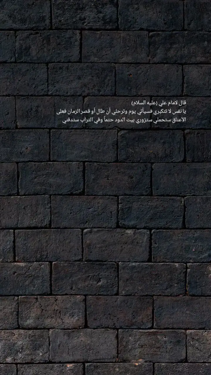 صدقت ياابا الحسن 💔 #اقوال_وحكم_الامام_علي_عليه_الاسلام #اكسبلورexplore #viral #foryou 