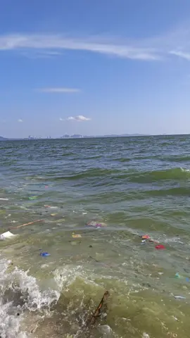 โอ้ทะเลแสนงาม #หาดบางแสน #wtf #viralvideo 