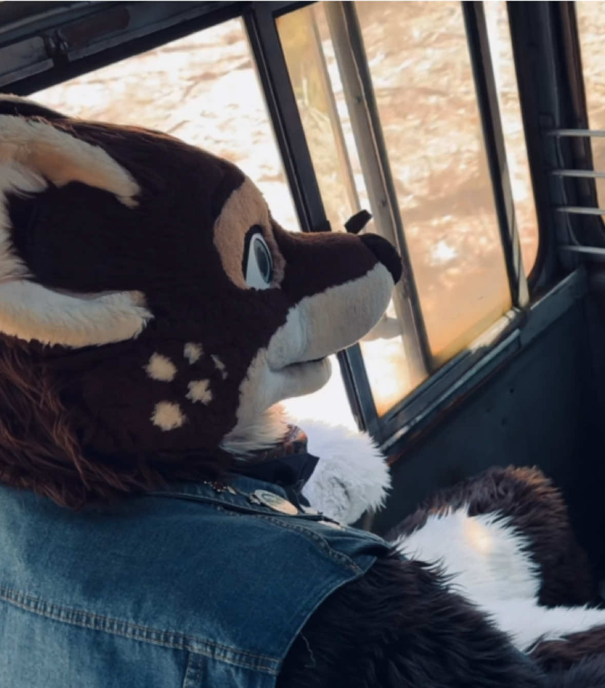 I drove a train in a fox fursuit 🦊 #railfan #furry #diesellocomotive #fursuiting 