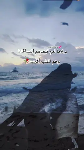 #CapCut #ويه_الطيورالطايرة🕊 #رضا_الخياط #iraqi_songs #messo2016 