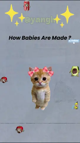 #cat#explain#kitties#funnycats#kittyexplains