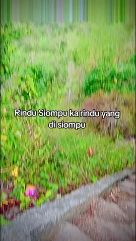 Rindu yg mna?? 😃_#fyp #butonpride🏝🔥 #lewatberanda #zxybcaシ #foryou 