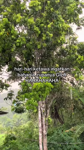 gila sda rupanya🤣 #katakata #sabah #4u #fypppppppppppppp 