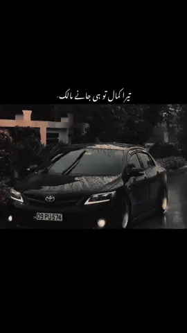 Tera kamal tu ee jane malik-🥀 #urduadablines #urduadablines #viralvuralviralviralviralviral #viewsproblem @TikTok 