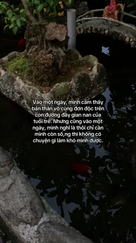 …#tamtrang #story 