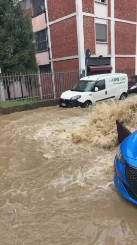 Roccia ho portato il mare a Milano  
