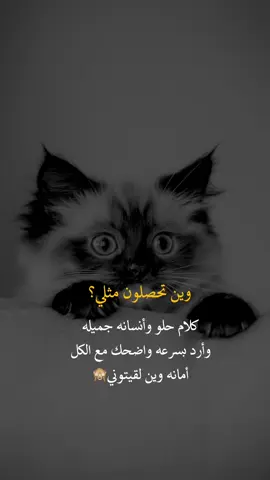 وين تحصلون مثلي #عبارات_جميلة_وقويه😉🖤 #fyp #yo #أعادة_نشر🔃 #اكسبلورexplore 