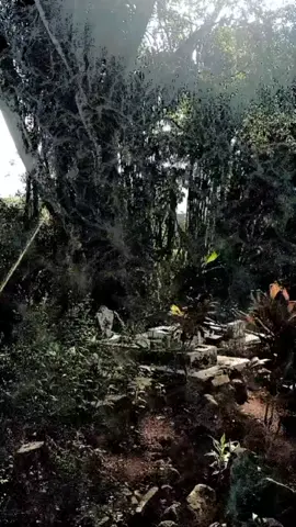 Malam ini guys..jangan sampai terlewatkan.. #bestvideo #panumbangan #panumbanganviral #panumbanganmisteri #bestpanumbangan 