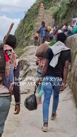 #ማርያም_እንወድሻለን❤❤ #ማርያም_እንወድሻለን❤❤ #ተክለሃይማኖት_አባቴ🤲🥰❤❤ 