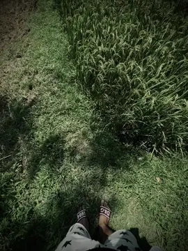 真正的爱情不是一时好感，而是我知道遇到你不容易，错过了会很可惜。 tình yêu đích thực không phải là ấn tượng nhất thời, mà là gặp được anh em biết điều đó không hề dễ dàng,nếu bỏ lỡ sẽ rất tiếc nuối.