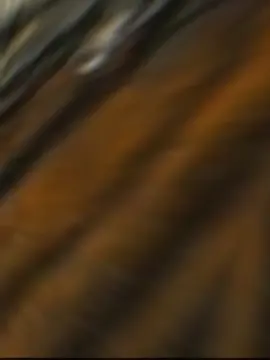 #شخص_يحب_التاريخ 