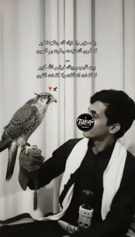 #geminiالترند #ترند_الصقر Take a photo taken with a Polaroid camera. The photo should look like an ordinary photograph, without an explicit subject or property. The photo should have a slight blur and a consistent light source, like a flash from a dark room, scattered throughout the photo. Don't change the face. Change the background behind me with white curtains . Let me hold a falcon and I’m looking at him and he looks at me . Let the falcon looks real.