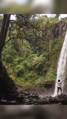 Gak nyangka di tengah hutan ada surga tersembunyi kayak gini. Airnya dingin banget dan suasananya tenang. Wajib masuk bucket list! 🏞️ Siapa yang mau ke sini bareng aku? Tag temanmu di kolom komentar! #AirTerjunLider #JawaTimur #WisataAlam #ExploreIndonesia #HiddenGem