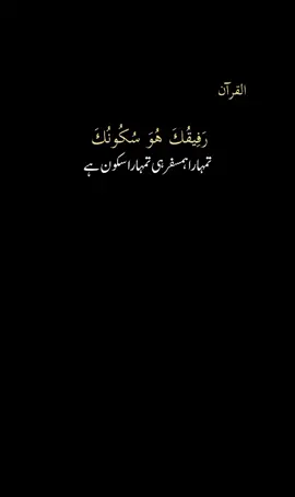 تمہارا ہمسفر ہی تمہارا سکون ہے ❤️🖇️🌏💯#foryou #poetry #fyypviraltiktok🖤シ゚☆♡ #1milionviews #100kfollowers 