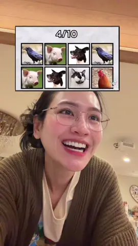 แมวมาจากไหนนนน