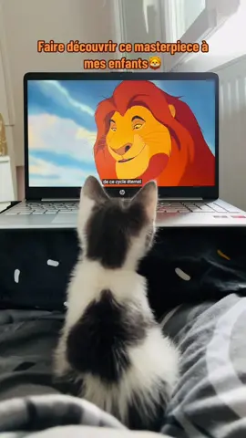 Pour qu’ils connaissent l’histoire de leurs ancêtres🦁 #cattok #lionking #lhistoiredelavie #PetsOfTikTok #leroilion 