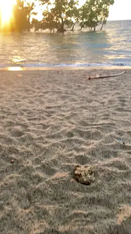 Senja Selalu Tau Cara Berpamitan Dengan Indah🌥️🌊