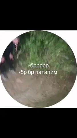#fyp #мем