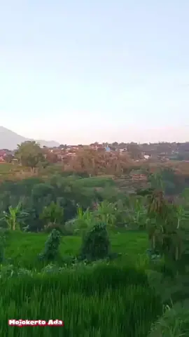 Tanah Air Ibu Pertiwi #tiktok #tiktokviral #pacetmojokerto #fyppppppppppppppppppp #jawatimur 