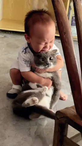 The cat can’t stand a child crying #cat #fyp #funnycats #foryou #viral 