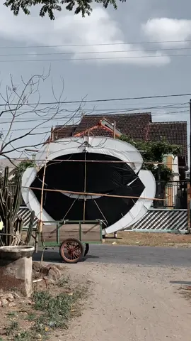 Seng Ws yo Ws ji#pelayangkulon #pelayangblitar #cinematic #payanganludoyo#kopdar