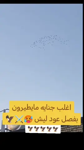 #هلاوالله_اخوتي✅🦅 #حمام_باكستاني #فلوجه_ابن_الانبار #يرحب_بكم🤚 #تعليقاتكم_لايك_كومينت_اكسبلور 