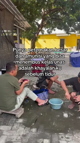 Mimpi terindah #fyp 