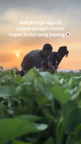 Pengen budal jepang tapi modal e yo gede🥹🥲#kenshuseijapan🇮🇩🇯🇵🎌 #berandatiktok #fyppppppppppppppppppppppp @nopek7696 