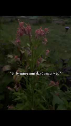 ทำไม่เป็นนะ#เธรด #เธรดเพลง #ฟีด 