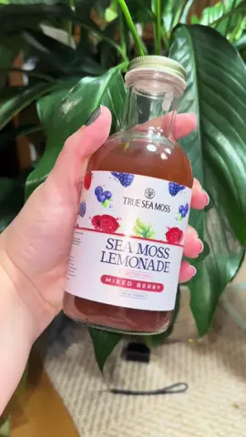 Hydration meets minerals 🌊🍋 True Sea Moss Lemonade delivers 92 essential minerals in a refreshing, tangy sip. Perfect for your wellness glow-up! #TrueSeaMossLemonade #SeaMossBenefits #MineralRich #NaturalHydration #WellnessTikTok  