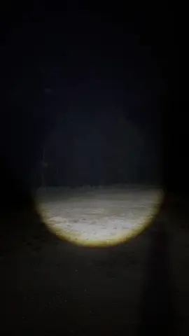 This headlight is insane #headlight #Outdoors #fyp #hunting 