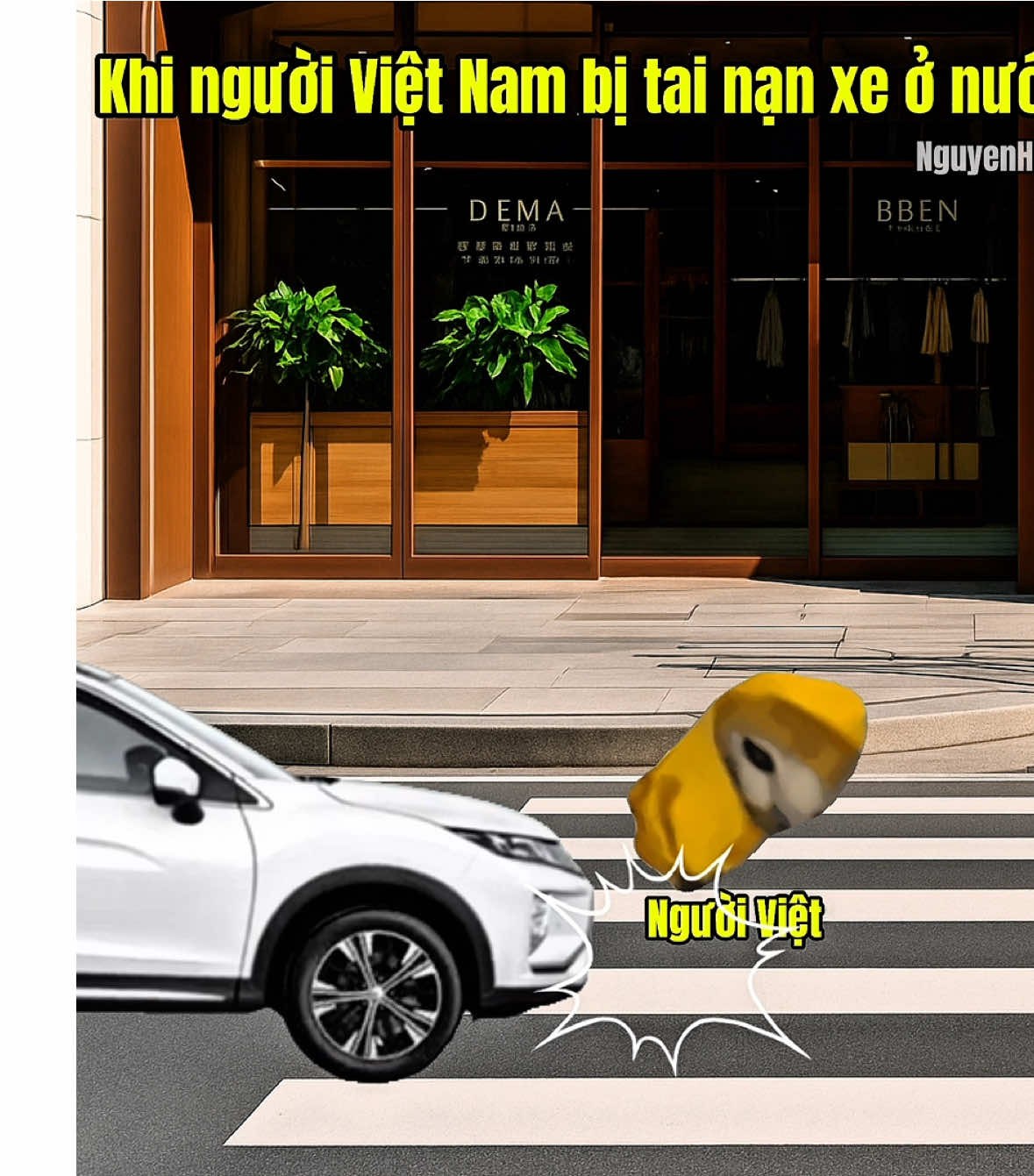 Khi người Việt Nam bị tai nạn xe ở nước ngoài #meme #catmeme 