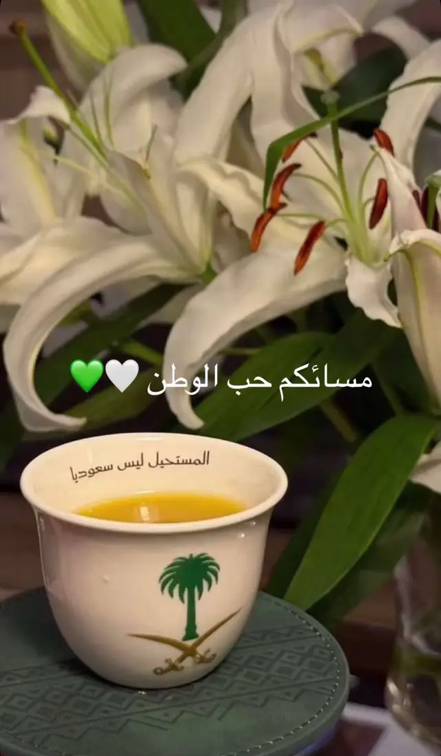 مسائكم حب الوطن 💚🤍#الوطن #اليوم _الوطني