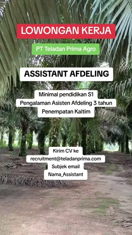 Loker asisten afdeling #lokerperkebunansawit #asistenafdeling #asistenkebunsawit #lokerkalimantan 