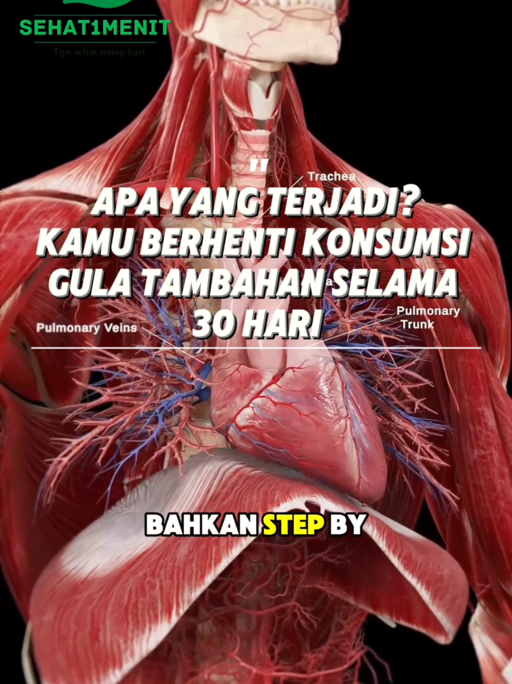 🍭 Apa yang Terjadi Jika Berhenti Konsumsi Gula 30 Hari? 🍭 Coba stop gula tambahan sebulan aja, tubuh kamu bakal kasih perubahan step by step: 📅 Hari 1–3 → Gampang lelah, pusing, craving manis (mirip “sakau gula”) 📅 Hari 4–7 → Energi stabil, nggak gampang ngantuk, mood lebih terkontrol 📅 Minggu ke-2 → Kulit lebih cerah, jerawat berkurang, perut nggak kembung, tidur lebih nyenyak 📅 Minggu ke-3 → Craving manis/junk food berkurang, berat badan perlahan turun 📅 Hari ke-30 → Tubuh lebih ringan, fokus meningkat, energi konsisten, risiko penyakit metabolik menurun ✨ Bayangin, cuma dengan stop gula tambahan sebulan aja, manfaatnya bisa segitu banyak! #sehat #kesehatan #sehatalami #makanansehat #hidupsehat  